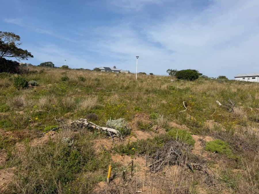 0 Bedroom Property for Sale in Reebok Western Cape